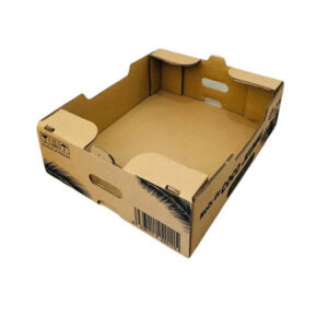 Fruit Corn Packaging Box